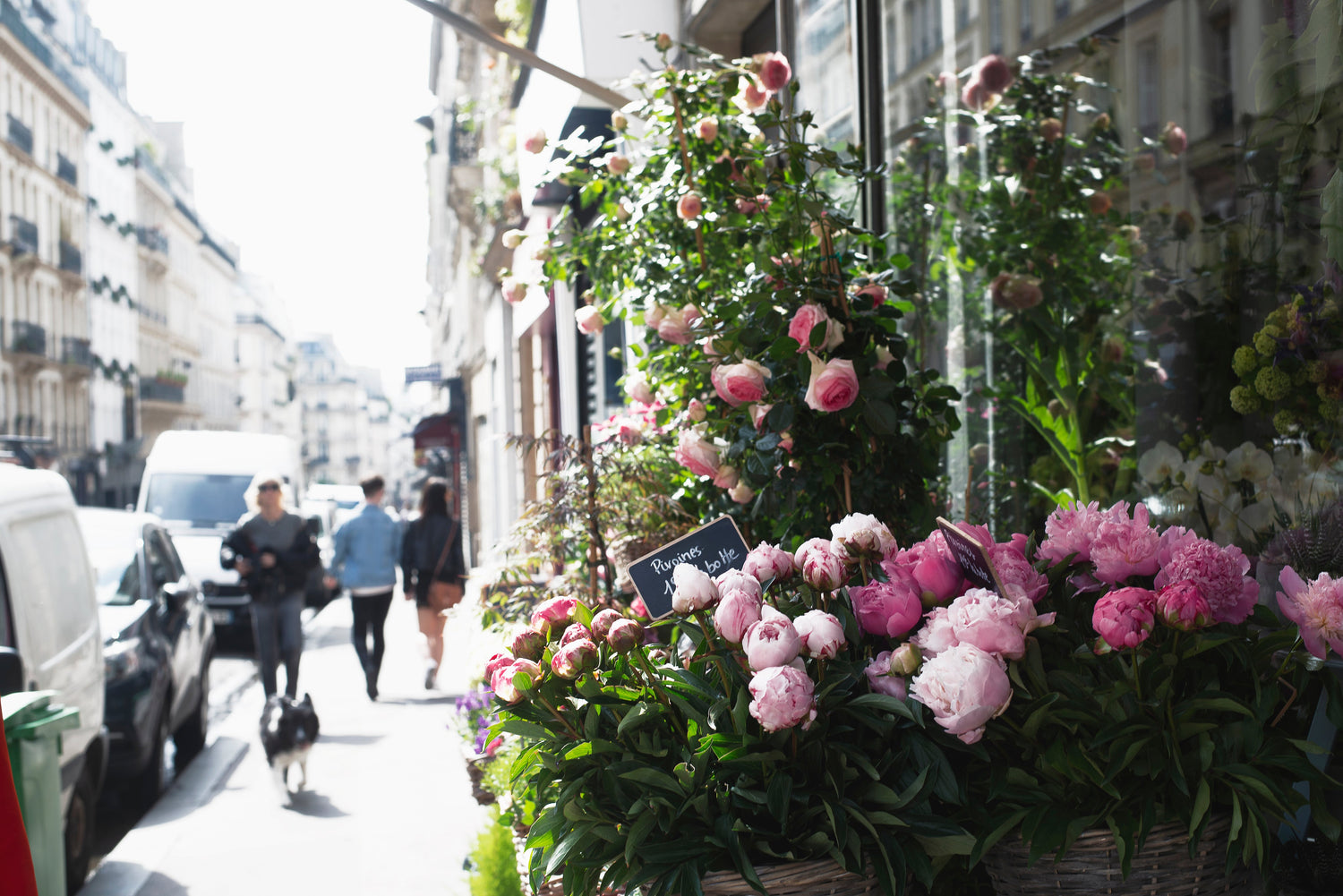 Flower Subscription for Seniors (Weekly, Biweekly, Monthly)